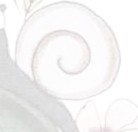 Staunen & Entdecken