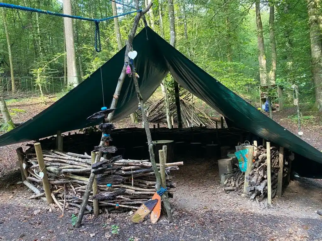 Im Wald 4