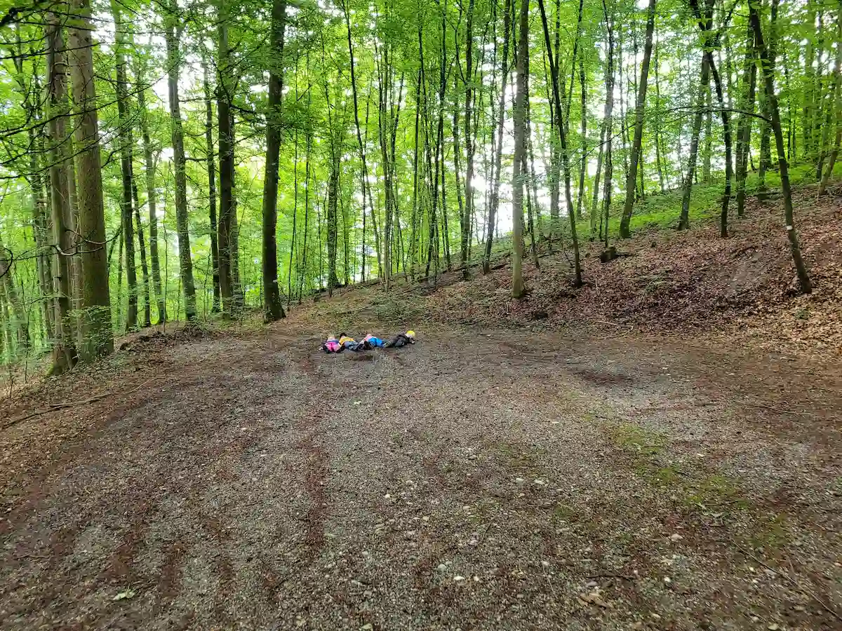 Im Wald 5